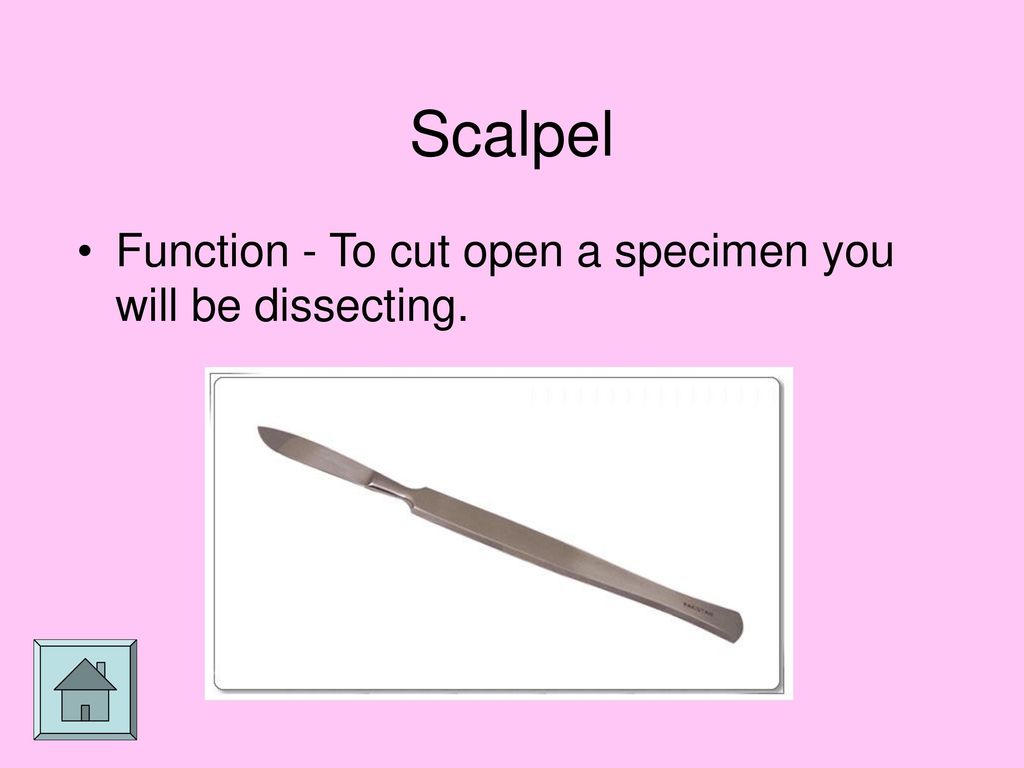 What is the function of a clearance scalpel